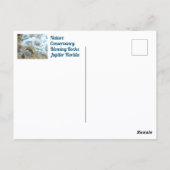 Baling Rocks Jupiter FL Fotografisch Briefkaart (Achterkant)