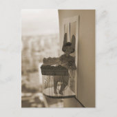 Balkony Briefkaart (Voorkant)