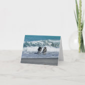 Ball BD 1 hebben Kaart (Voorkant)