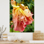 Ball Gown Dead Roos, geel sinaasappel Poster (Keuken)