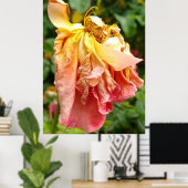 Ball Gown Dead Roos, geel sinaasappel Poster (Thuiskantoor)