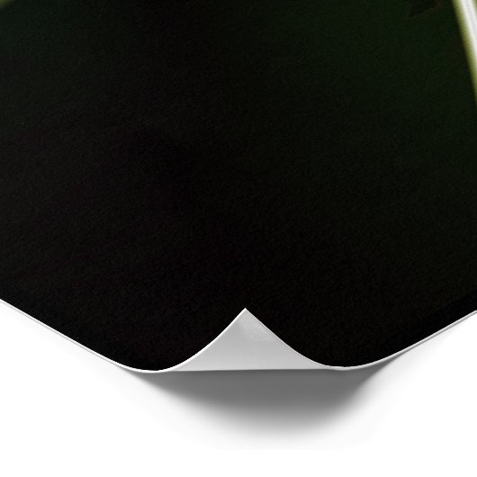 Ball Lightning Poster (Hoek)