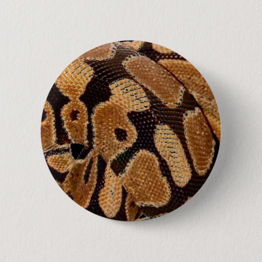 Ball Python Button Badge (Voorkant)