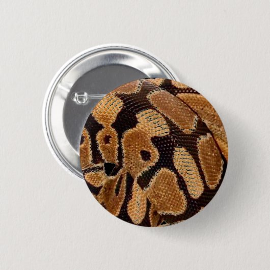 Ball Python Button Badge (Voorkant /achterkant)