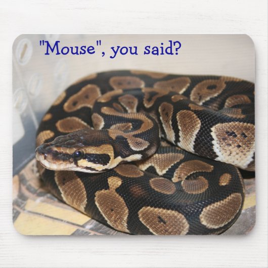 Ball Python geïnteresseerd in muis. Muismat (Voorkant)