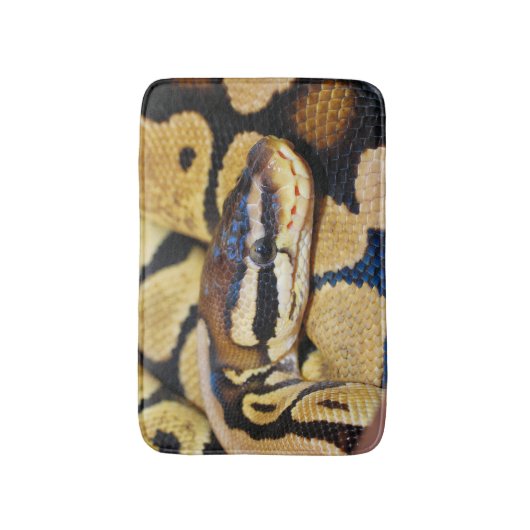 Ball Python, Gele Belly, gekruld in Ball Badmat (Voorkant Verticaal)