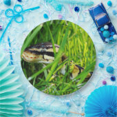 ball python in gras.png papieren bordje (Feest)
