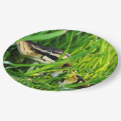 ball python in gras.png papieren bordje (Gekanteld)
