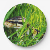 ball python in gras.png papieren bordje (Voorkant)