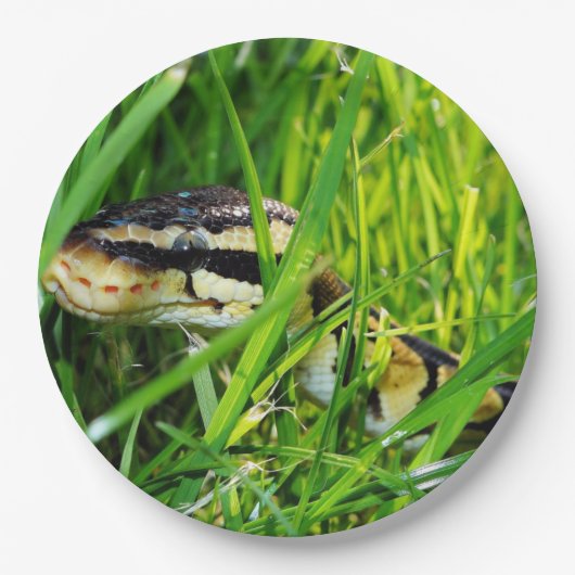 ball python in gras.png papieren bordje (Voorkant)