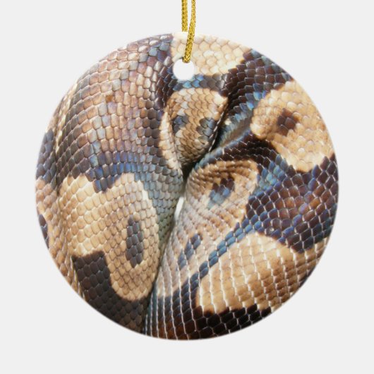 Ball Python Keramisch Ornament (Voorkant)