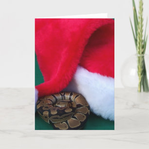 Ball Python naast Santa Hat, slangenkerst Feestdagen Kaart