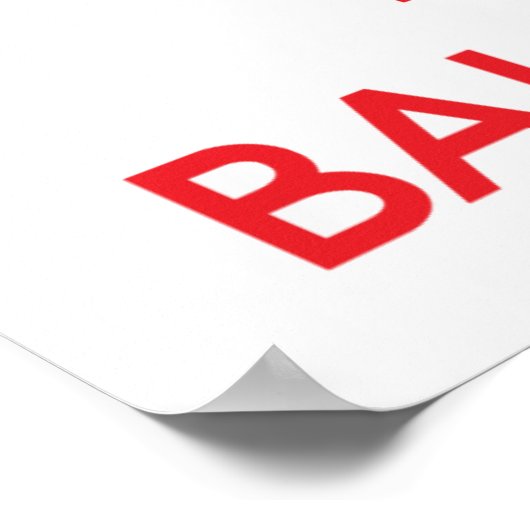 Ball Python Poster (Hoek)