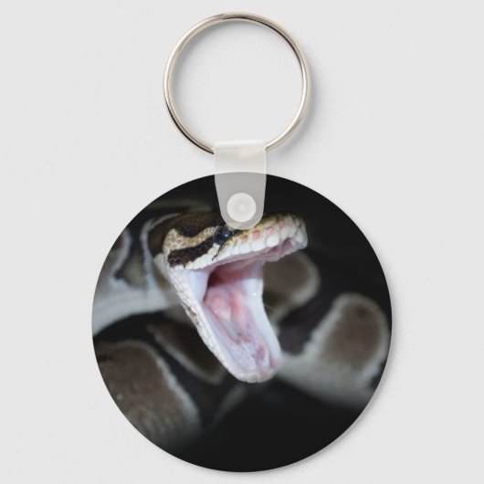 Ball Python Sleutelhanger (Voorkant)