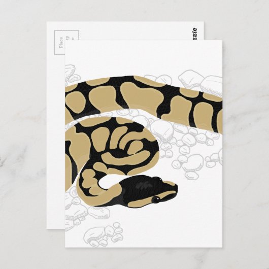 Ball Python Snake Briefkaart (Voorkant / Achterkant)