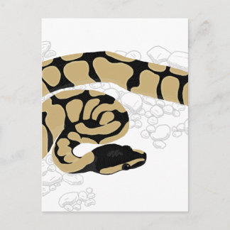 Ball Python Snake Briefkaart