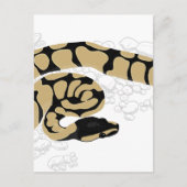 Ball Python Snake Briefkaart (Voorkant)