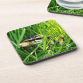 Ball Python Snake in the Grass Bier Onderzetter (Linkerzijde)