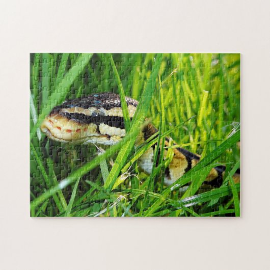 Ball Python Snake in the Grass Legpuzzel (Horizontaal)