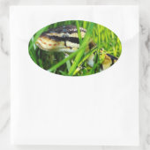 Ball Python Snake in the Grass Ovale Sticker (Tas)