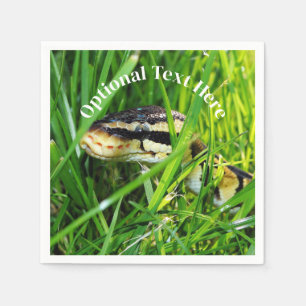 Ball Python Snake in the Grass Servet