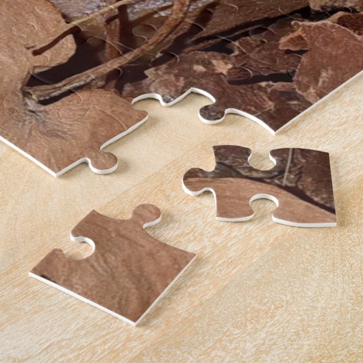 Ball Python Snake Legpuzzel (Zijkant)