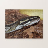 Ball Python Snake Legpuzzel (Horizontaal)
