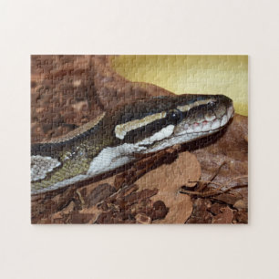 Ball Python Snake Legpuzzel