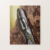 Ball Python Snake Legpuzzel (Verticaal)
