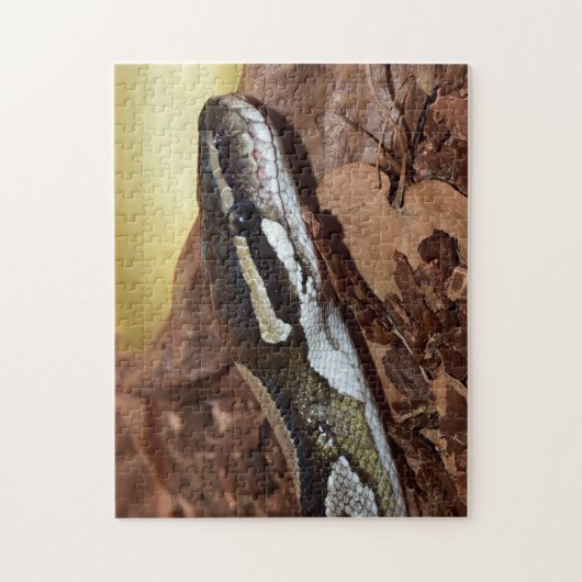 Ball Python Snake Legpuzzel (Verticaal)