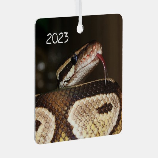 Ball Python Snake Metalen Ornament (Voorkant Rechts)