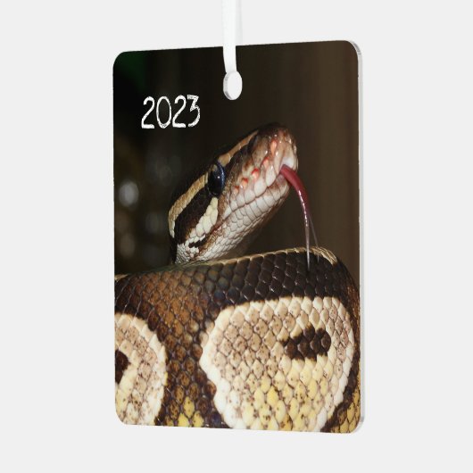 Ball Python Snake Metalen Ornament (Voorkant links)