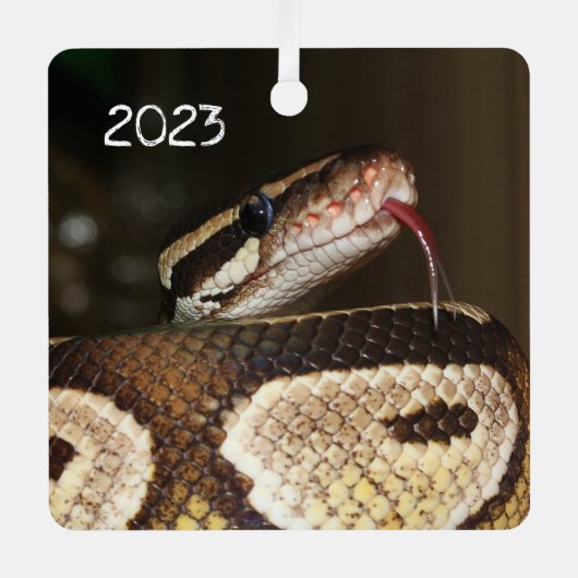 Ball Python Snake Metalen Ornament (Voorkant)