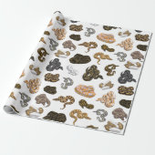 Ball Python Snake Morph Pattern Cadeaupapier (Uitgerold)