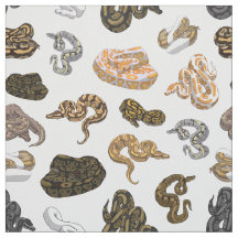 Ball Python Snake Morph Pattern