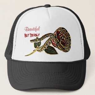 Ball Python Snake Pet Gevaarlijke schoonheid