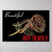 Ball Python Snake poster (Voorkant)