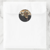 Ball Python Sticker (Tas)