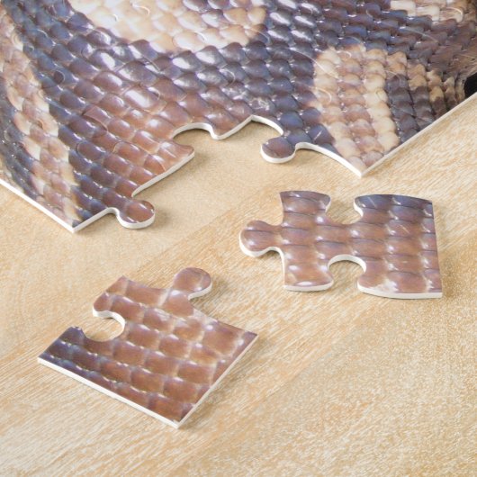 Ball Pythons Legpuzzel (Zijkant)