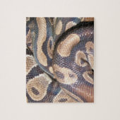 Ball Pythons Legpuzzel (Verticaal)