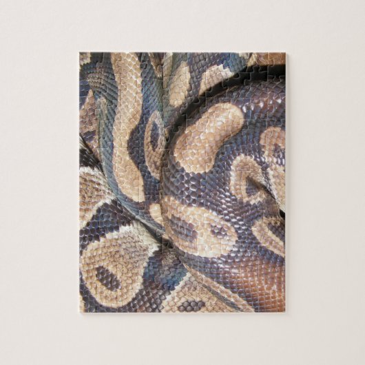 Ball Pythons Legpuzzel (Verticaal)