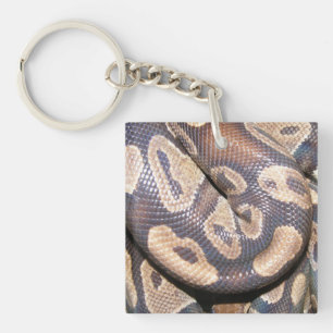 Ball Pythons Sleutelhanger