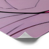 Ballad of the Star Frontiers Poster (Hoek)