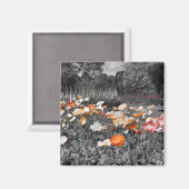 Ballarat Botanische Tuinen Bloemen Display Magneet (Voorkant / Achterkant)