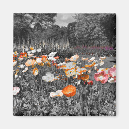 Ballarat Botanische Tuinen Bloemen Display Magneet