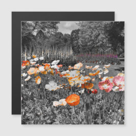 Ballarat Botanische Tuinen Bloemen Display Magneet