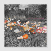 Ballarat Botanische Tuinen Bloemen Display Magneet (Voorkant)