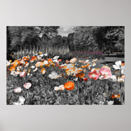 Ballarat Botanische Tuinen Bloemen Display Poster