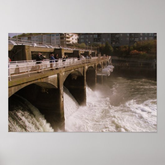 Ballard Locks - Seattle, WA Poster (Voorkant)