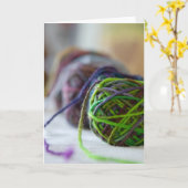 Ballen van de Kaart van het Garen (Gele Bloem)